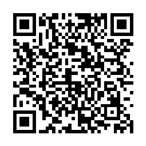 这些壁画出现在龙神的神庙里也是情理之中的事情二维码生成