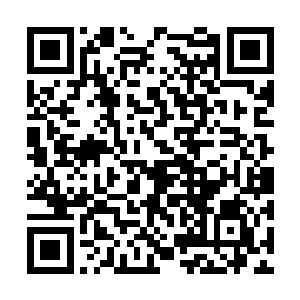 这些处于锋矢箭头的魔物冲击起来端的是快逾奔马二维码生成