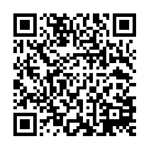 这些复制体自然不可能象真正的鬼卫幻影对封不智造成任何伤害二维码生成