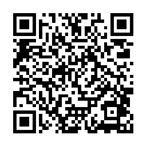 这些大乘和半步大乘修士竟然退到了张潇晗身后二维码生成