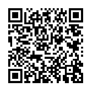 这些大人物对于围观的那些群众而言可是难得一见的二维码生成