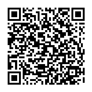 这些大势力只能是按照昆墟老祖的要求派遣门下的圣子传人进去争夺传承二维码生成