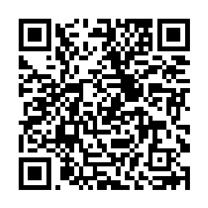 这些大角牛是唐劫托了低年期学子从虎啸谷里弄来的二维码生成