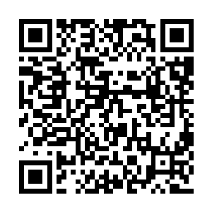 这些天他在西郊动物园内拿这些巨狼和猴子练手二维码生成