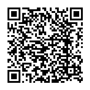 这些天在事务所没少看各种专业文献的巴克也点头认可林东的说法二维码生成