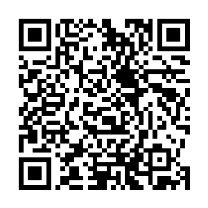 这些天才基本上在还是天阶的时候就达到了多个圣域特点二维码生成