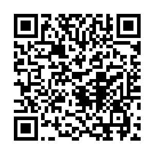 这些如花一样漫天飞舞的而是包含了恐怖不已的神圣之力二维码生成