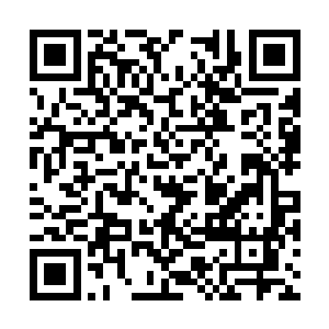 这些妖藤自从在灵墟之地的凶兽禁地进阶过一次后二维码生成