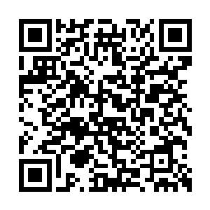 这些委托者和眼前这个残念的女人真是如出一辙二维码生成