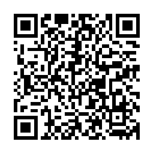 这些孩子和那个老人根本不知道她是用偷来的钱给她们买吃的二维码生成