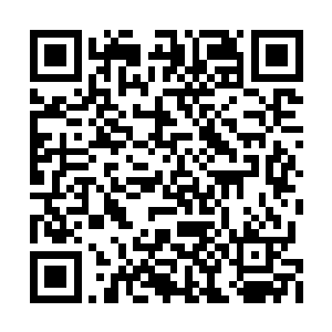 这些孩子长大后是否会变得亲近东大陆的无角人二维码生成