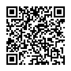 这些守夜守得无聊的御前诸班直的汉子们顿时就说笑起来二维码生成