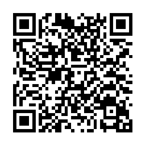 这些完全化形的妖族和特殊种族的女子其实差不多二维码生成