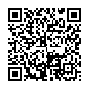 这些宗主和族长应该还会去星辰冒险团的驻地拜访二维码生成