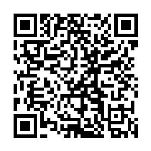 这些官二代唯一要做的就是帮公司解决官面上的一些问题二维码生成