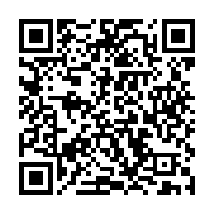 这些实力如此强大的灵兽怎么可能安逸的生活在这里二维码生成