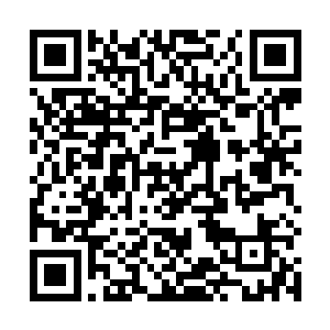 这些客人都是被梓箐的真本事和气度气质留下的老顾客二维码生成