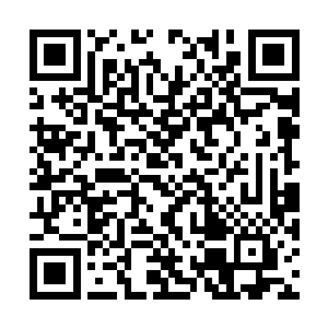这些家伙动作真快……他们正在朝着海岸上游过去二维码生成