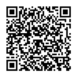 这些家伙对楼上房间的关注防范程度甚至比郑重他们那边都还高一些二维码生成