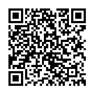 这些家伙庆幸自己辛苦没有对这个人类修士出手二维码生成