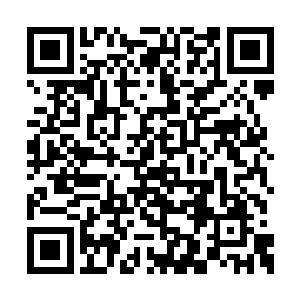 这些家伙的身体里一个个全都充满着暴力的因子二维码生成