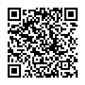 这些对于杨晨来说已经司空见惯没有什么好奇怪的了二维码生成