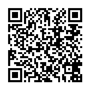 这些对杨晨修炼呢此功法都会是一个非常有力的帮助二维码生成