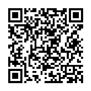 这些尊品低阶的法宝每一样都不是普通的尊品法宝二维码生成