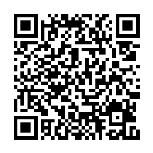 这些小兽的母亲醒来之后没有看到小兽就出来找二维码生成