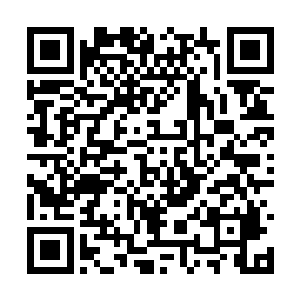 这些小家族只不过是为了这次论道大会做一个样子二维码生成