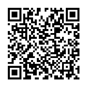 这些小混蛋这下可得将他们骄傲的孔雀尾巴给收起来了二维码生成