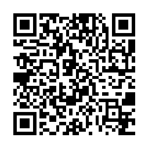 这些小辈们知晓她是孤岛百毒不侵之人会是什么反应二维码生成