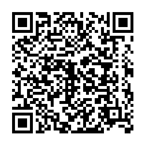 这些少年儿郎世家公子们时不时都会偷偷瞄一眼语笑嫣然的世子妃二维码生成