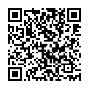 这些就如世间最好的食物一般让他看到便如饥似渴二维码生成