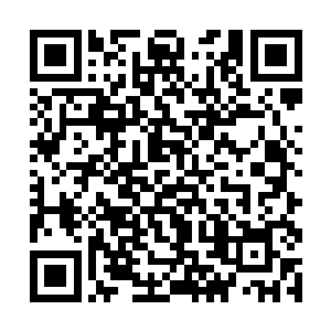 这些尸体跟我们在那地底世界中见到的身体非常相似二维码生成