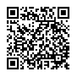 这些峰主怎么会为了一个弟子这样的小事而伤了彼此的脸面二维码生成