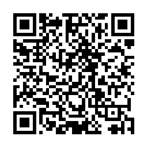 这些年化仙者威胁实在已经到了我们都没法控制的程度了二维码生成