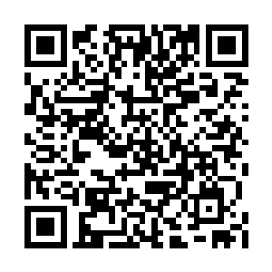 这些年来一直不去理会的委屈一下子堵住了喉咙二维码生成