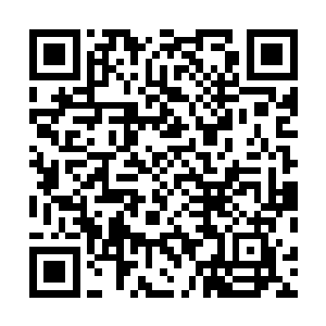这些年来你用自己的精血培育出来的生灵不止南寻风一个二维码生成