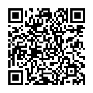 这些年来我们神音道宗提亲的大家族大势力多了去了二维码生成