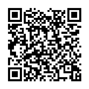 这些年来更是因为此才没办法再以真面目面对夭华二维码生成