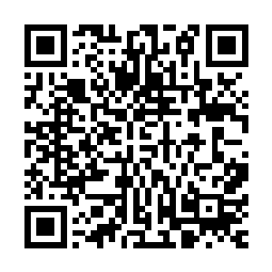 这些年虽然拍摄的都是标准的政治正确的大美利坚主义的影片二维码生成