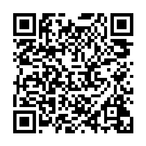 这些年过来叶莹也不再是当年那个怀着美梦的无知少女二维码生成