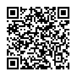 这些幽眼紫蛛便全都老老实实四脚朝天地躺在深坑里二维码生成