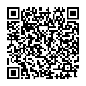 这些庶民褴褛的衣衫和麻木面孔让他想起幼年时在厨房里踩死的蟑螂二维码生成