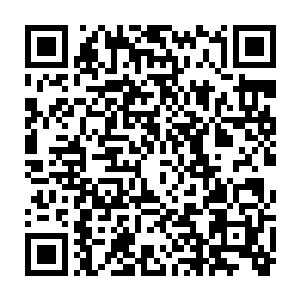 这些建筑的样式也都是龙傲天按照地球上的园林还有宫殿等建筑风格融合而成的二维码生成