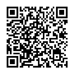这些异兽也放掉了平日里的规矩都以杀掉这个人类为宗旨了二维码生成