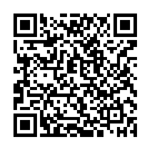 这些异能改革留下来的遗产也不会成为阻碍他的因素二维码生成