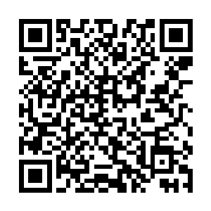 这些弟子也都是来自东部的九大宗门和北部的上元盟二维码生成