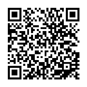 这些弟子完全没有想到这些仙尊期大修士在得到了宝藏之后二维码生成